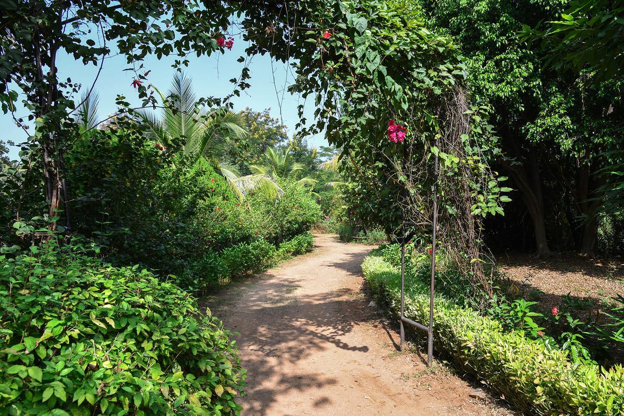 Baaz Jungle Resort Khawāsa 외부 사진