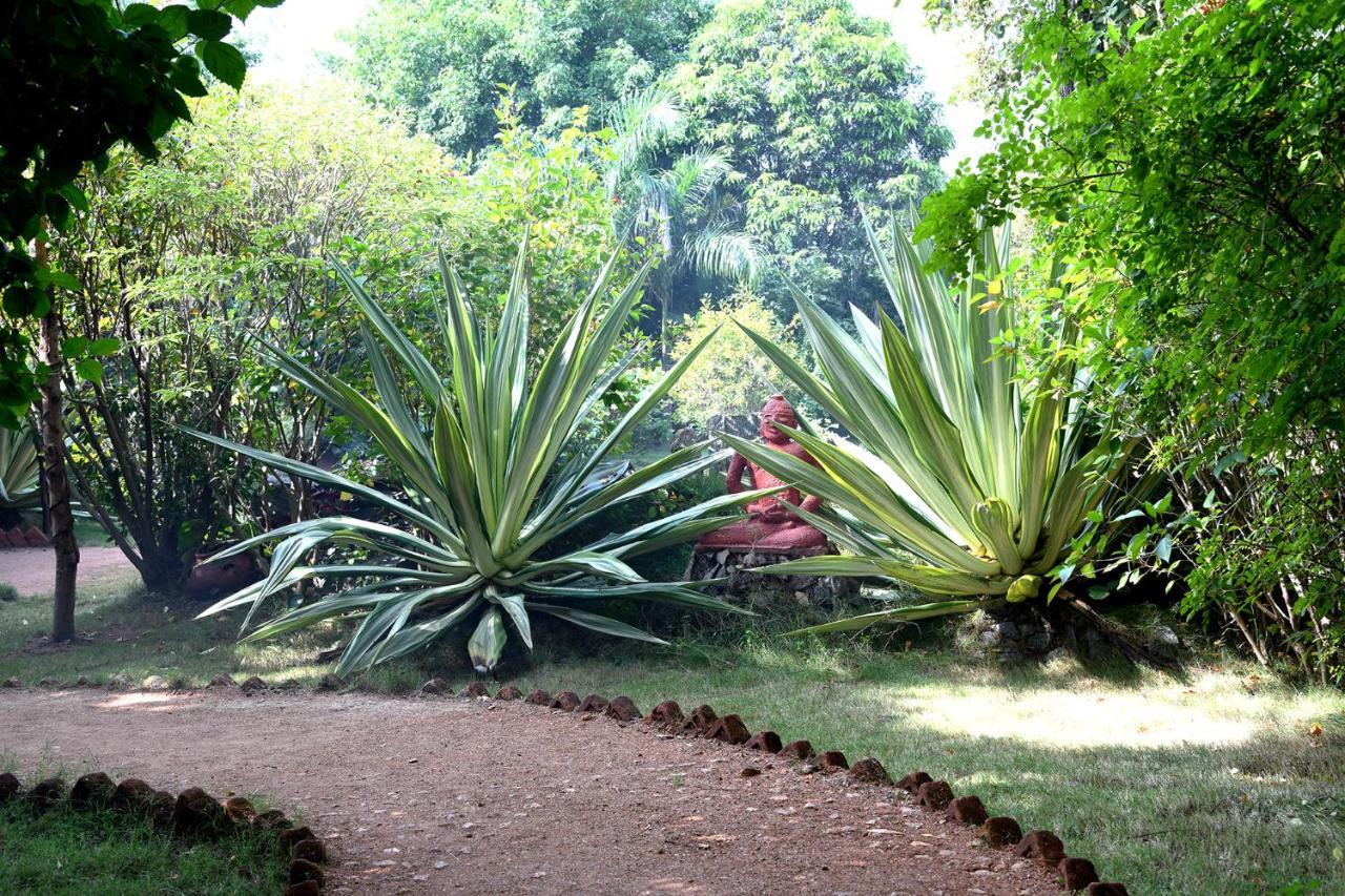 Baaz Jungle Resort Khawāsa 외부 사진