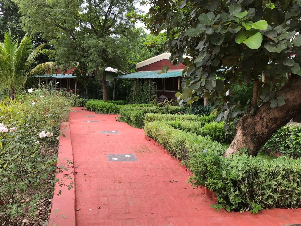 Baaz Jungle Resort Khawāsa 외부 사진
