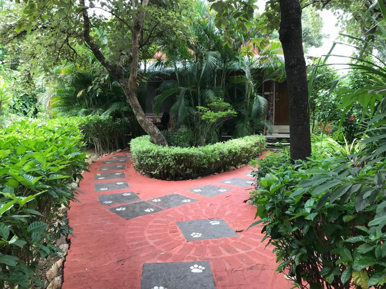 Baaz Jungle Resort Khawāsa 외부 사진