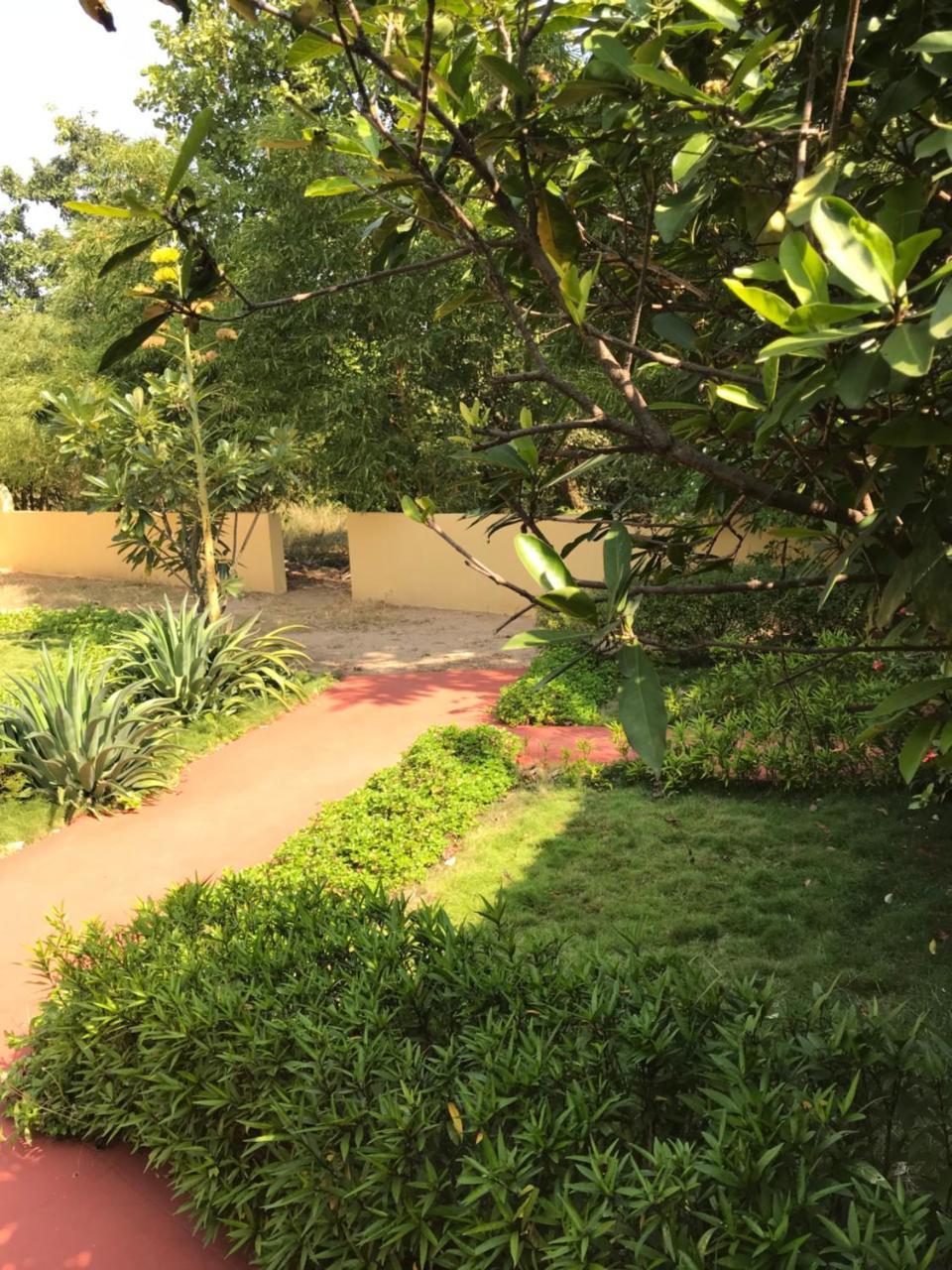 Baaz Jungle Resort Khawāsa 외부 사진